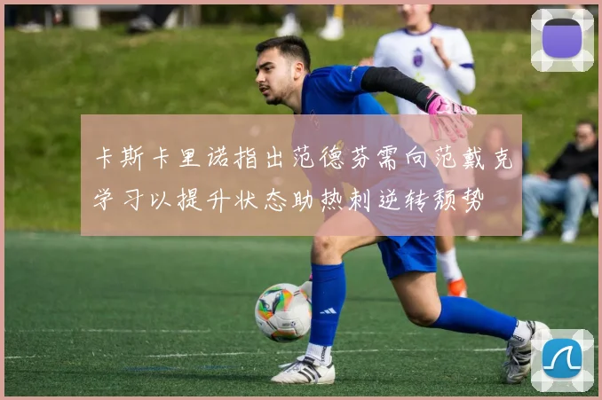 卡斯卡里诺指出范德芬需向范戴克学习以提升状态助热刺逆转颓势